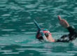 after movie verdon swim experience 2023